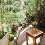 Simple Steps to Create a Relaxing Garden Space at Home